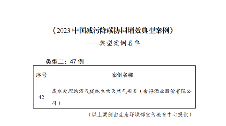 四川天马屋顶分布式光伏项目正式发电并网(图7)